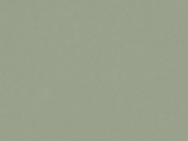 Akmenstata-Posidonia green Silestone - Sunlit days